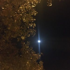 Meet your Posher, Joshua